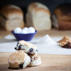 hillcrest-bakery-blueberry-scone