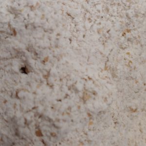 whole-wheat-flour