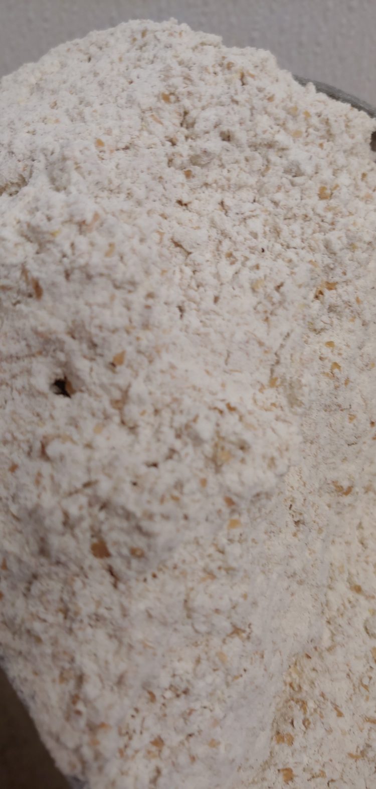 whole-wheat-flour