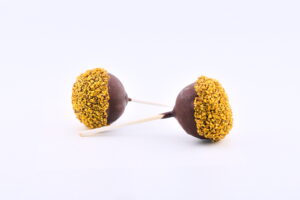 Chocolate Cake Pop